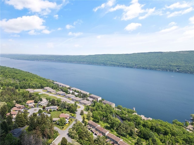 3 Harbour Ln, South Bristol, NY 14424 - aerial view of residential area with a large body of water