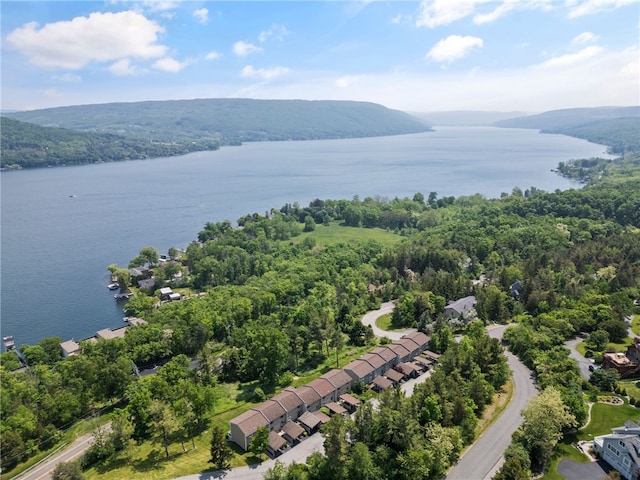 3 Harbour Ln, South Bristol, NY 14424 - drone / aerial view of a nearby body of water and a heavily wooded area