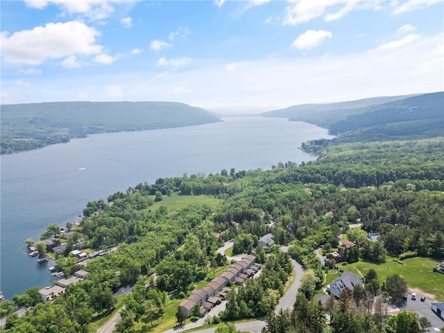 3 Harbour Ln, South Bristol, NY 14424 - drone / aerial view of a water and mountain view and a forest