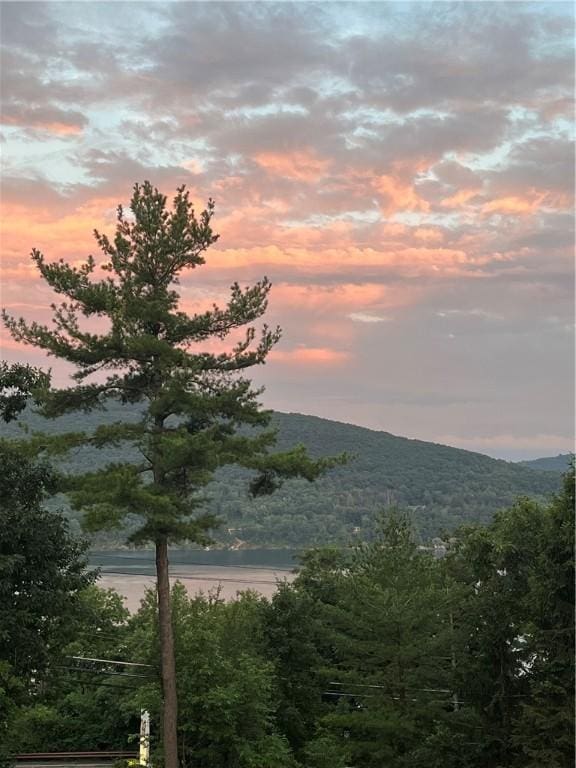 3 Harbour Ln, South Bristol, NY 14424 - view of mountain backdrop