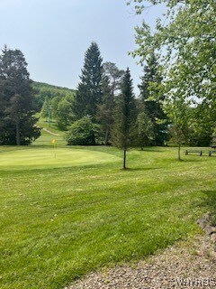 6447 Holiday Valley Rd Unit 113115-5, Ellicottville, NY 14731 - photo 14