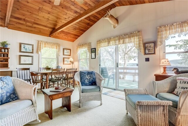 6121 Beechtree Dr, South Bristol, NY 14512 - carpeted living room with wood ceiling