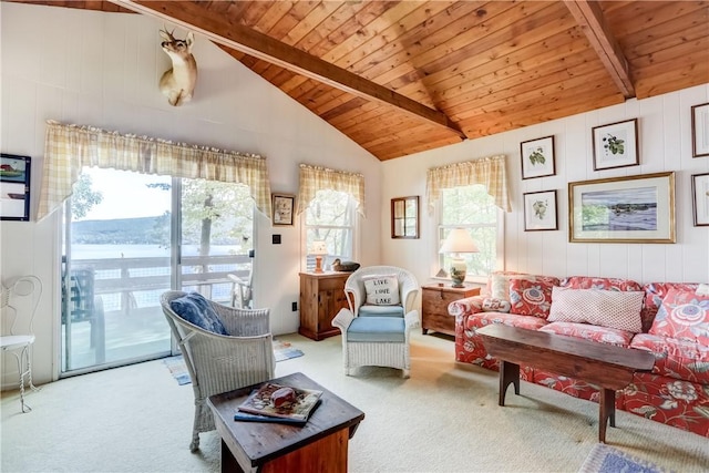 6121 Beechtree Dr, South Bristol, NY 14512 - carpeted living room with plenty of natural light, wood ceiling, and wood walls