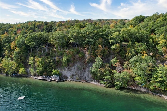 6121 Beechtree Dr, South Bristol, NY 14512 - water view featuring a heavily wooded area and a floating dock