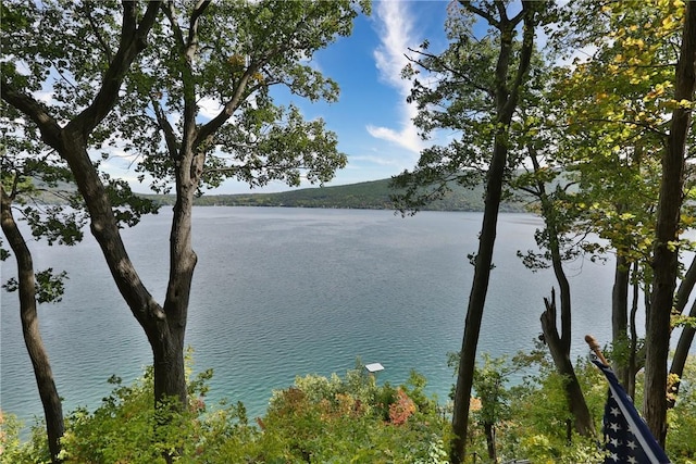 6121 Beechtree Dr, South Bristol, NY 14512 - water view