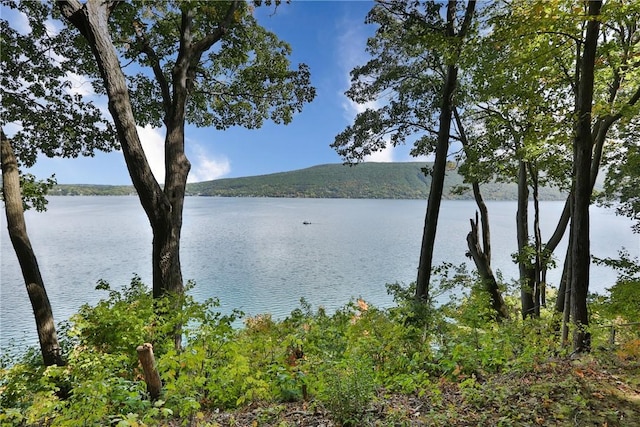 6121 Beechtree Dr, South Bristol, NY 14512 - water view