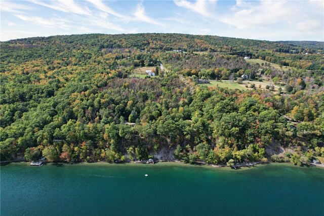 6121 Beechtree Dr, South Bristol, NY 14512 - aerial view of property and surrounding area with a nearby body of water