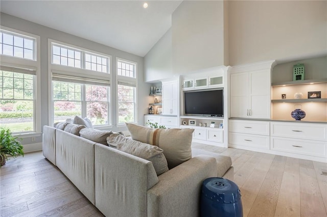 15 Cathedral Oaks, Perinton, NY 14450 - living room featuring high vaulted ceiling, light wood-style flooring, and plenty of natural light