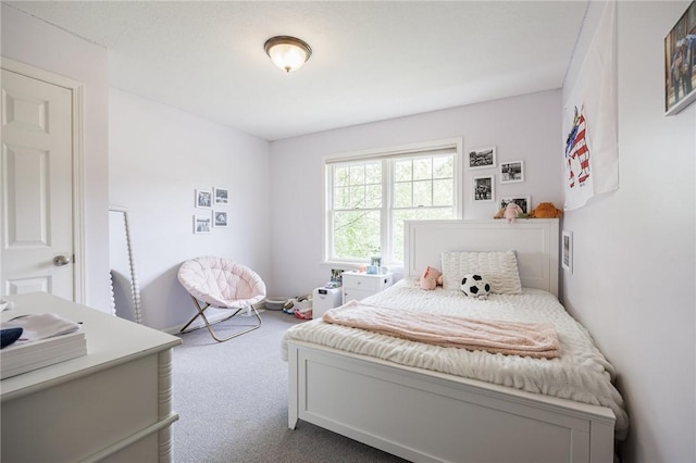 15 Cathedral Oaks, Perinton, NY 14450 - view of carpeted bedroom