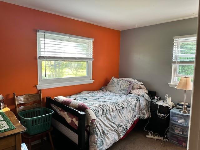 41 Wallman Dr, Henrietta, NY 14467 - view of carpeted bedroom