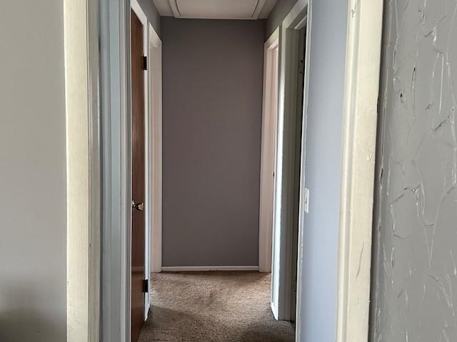 41 Wallman Dr, Henrietta, NY 14467 - corridor with carpet and attic access