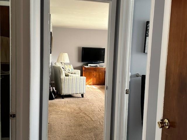 41 Wallman Dr, Henrietta, NY 14467 - hallway featuring carpet flooring