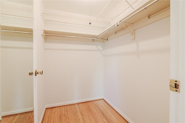 21 Chipping, Perinton, NY 14450 - walk in closet with wood finished floors