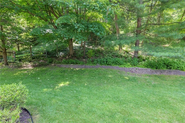 21 Chipping, Perinton, NY 14450 - view of yard