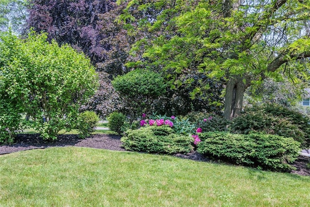 21 Chipping, Perinton, NY 14450 - view of grassy yard
