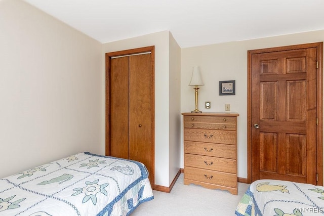 11544 Howe Rd, Newstead, NY 14001 - bedroom featuring a closet and light colored carpet