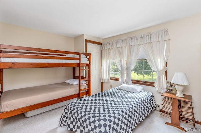 11544 Howe Rd, Newstead, NY 14001 - bedroom featuring carpet and a closet