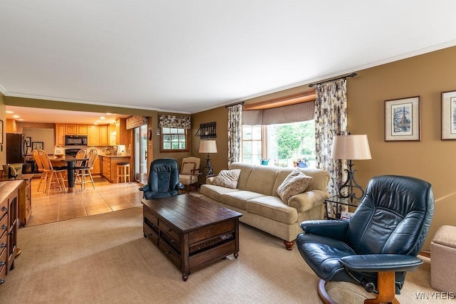 11544 Howe Rd, Newstead, NY 14001 - living room featuring ornamental molding, light carpet, and light tile patterned flooring