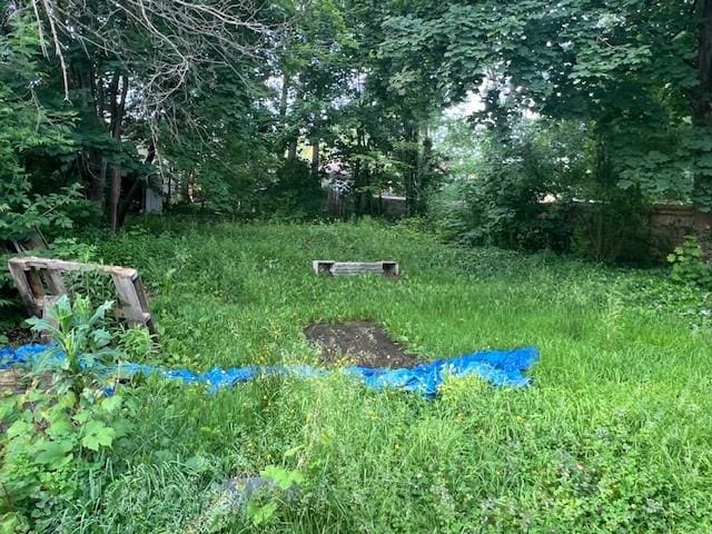 3013 Robins St, Union, NY 13760 - view of yard