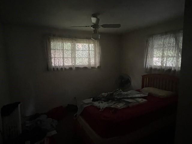 3013 Robins St, Union, NY 13760 - bedroom featuring multiple windows and ceiling fan