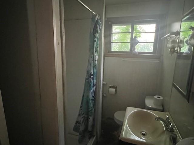 3013 Robins St, Union, NY 13760 - bathroom featuring a sink and a shower with shower curtain