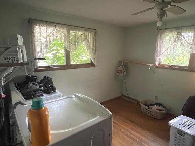 3013 Robins St, Union, NY 13760 - laundry area with healthy amount of natural light, ceiling fan, light wood finished floors, and washer and dryer