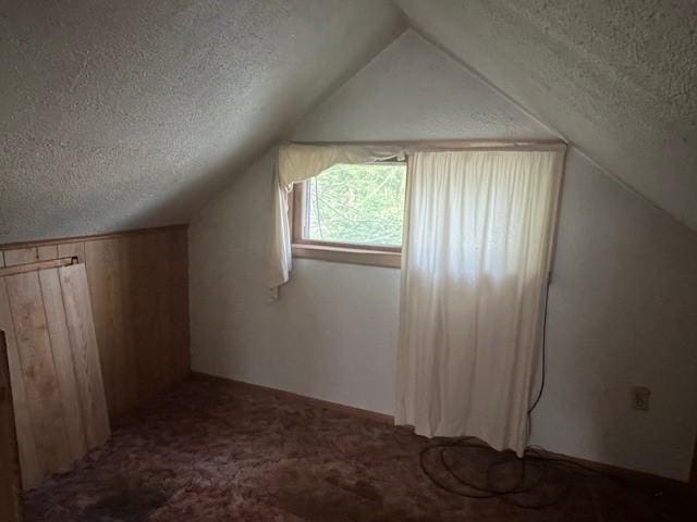 3013 Robins St, Union, NY 13760 - bonus room featuring a textured ceiling, lofted ceiling, and carpet floors