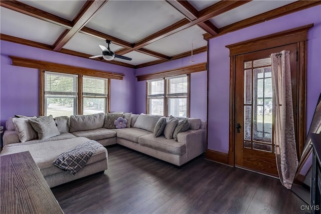 302 N James St, Wilna, NY 13619 - living room with healthy amount of natural light, a ceiling fan, beam ceiling, coffered ceiling, and dark wood-style floors