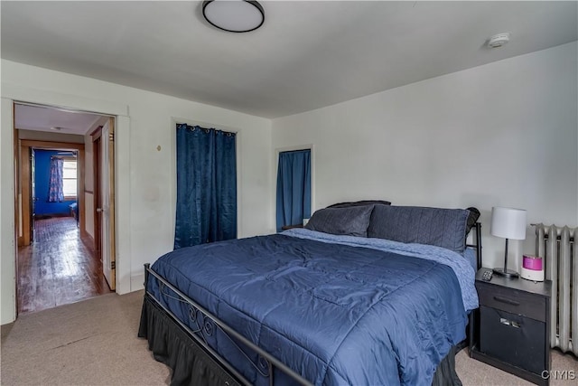 302 N James St, Wilna, NY 13619 - bedroom with radiator heating unit and light carpet
