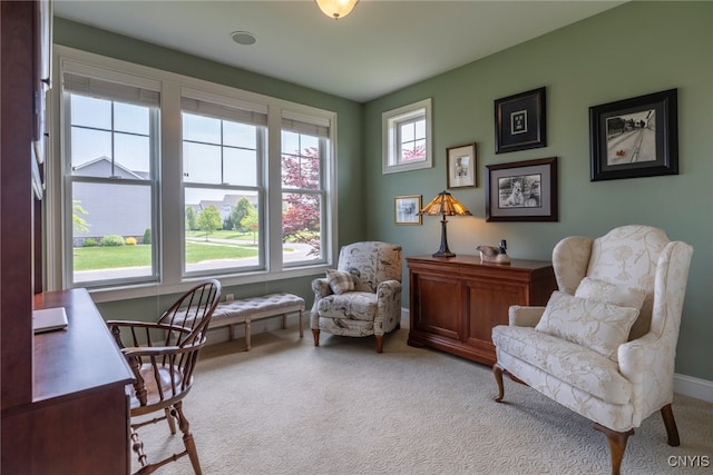 3389 Long Shadow Dr, Lysander, NY 13027 - office area featuring light carpet and baseboards
