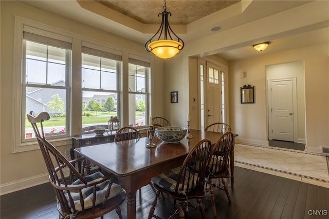 3389 Long Shadow Dr, Lysander, NY 13027 - dining room with a tray ceiling, healthy amount of natural light, and dark wood-type flooring