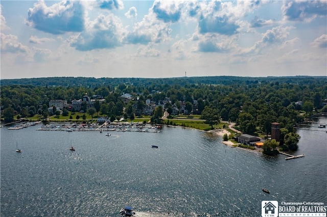 83 Pratt Ave, Chautauqua, NY 14722 - photo 43