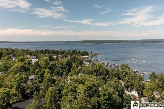 83 Pratt Ave, Chautauqua, NY 14722 - photo 44