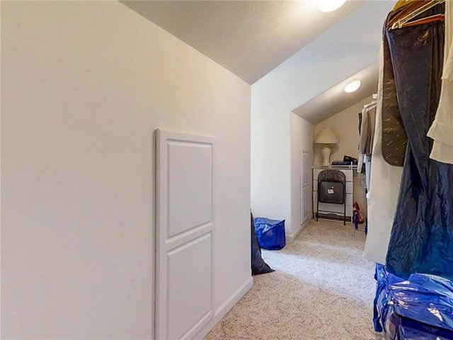 106 Woodsview, Erwin, NY 14870 - hall with lofted ceiling and carpet flooring