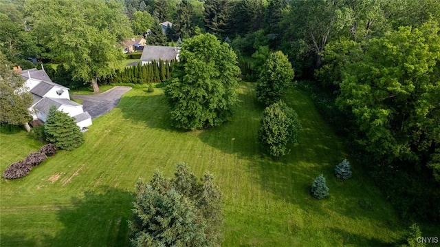 810 Franklin St, Skaneateles, NY 13152 - view of subject property featuring a forest