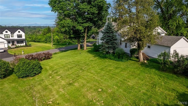 810 Franklin St, Skaneateles, NY 13152 - view of grassy yard