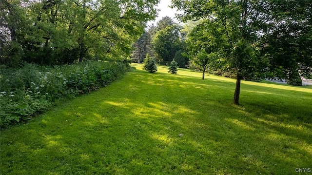 810 Franklin St, Skaneateles, NY 13152 - view of grassy yard