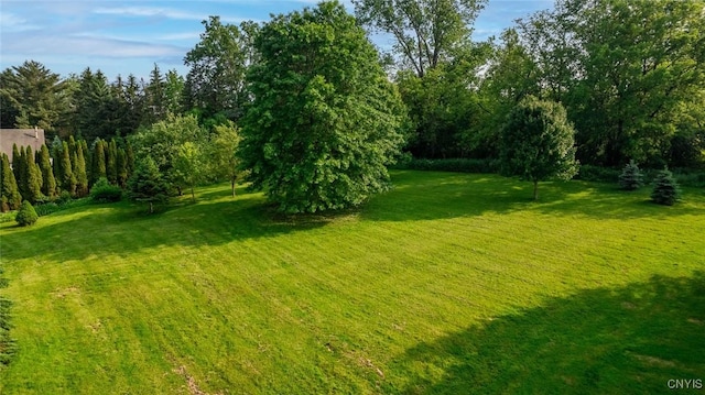 810 Franklin St, Skaneateles, NY 13152 - view of green lawn