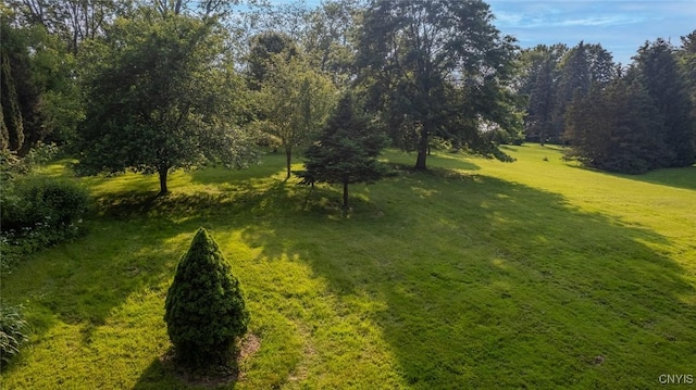 810 Franklin St, Skaneateles, NY 13152 - view of green lawn