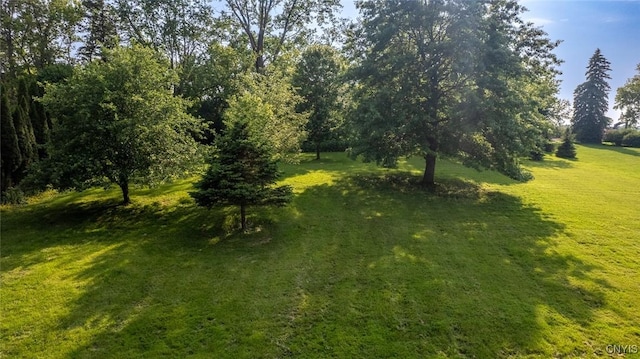 810 Franklin St, Skaneateles, NY 13152 - view of green lawn