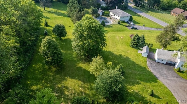 810 Franklin St, Skaneateles, NY 13152 - view from above of property