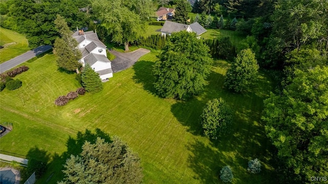 810 Franklin St, Skaneateles, NY 13152 - bird's eye view