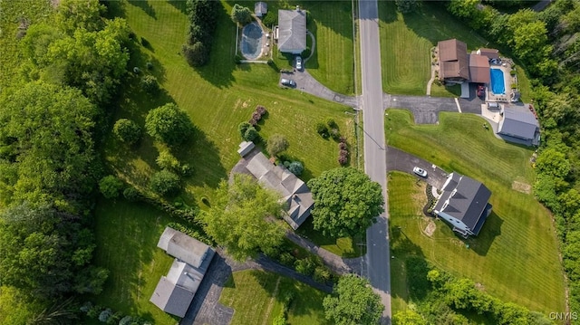 810 Franklin St, Skaneateles, NY 13152 - aerial view of property and surrounding area