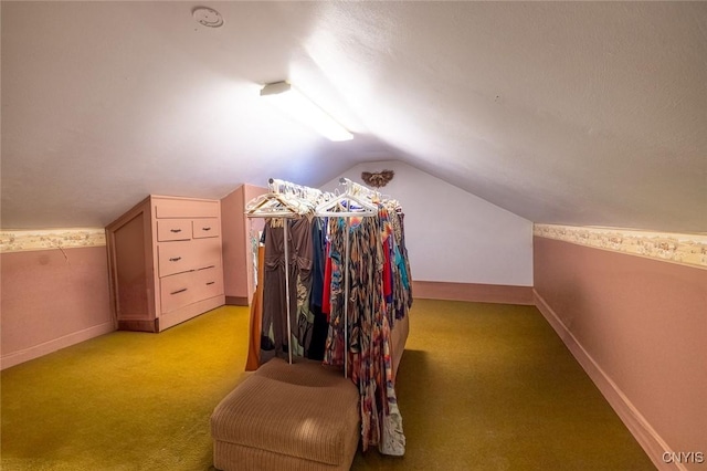 810 Franklin St, Skaneateles, NY 13152 - walk in closet with lofted ceiling and light colored carpet