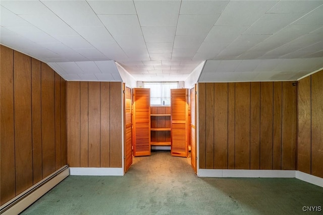 810 Franklin St, Skaneateles, NY 13152 - additional living space featuring a baseboard radiator, wooden walls, and carpet floors