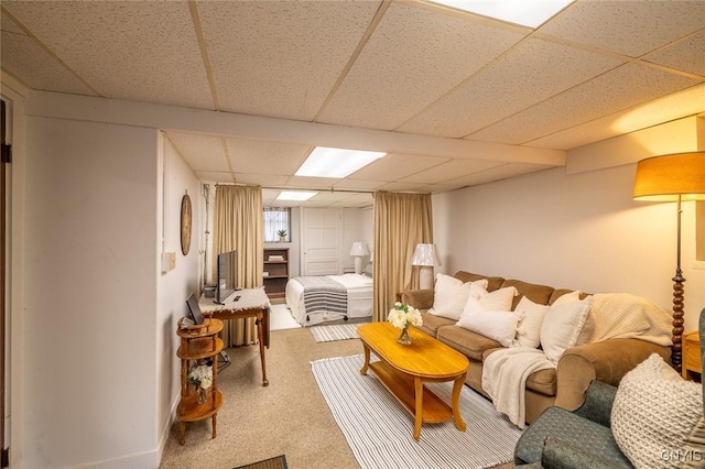 810 Franklin St, Skaneateles, NY 13152 - carpeted living room featuring a paneled ceiling