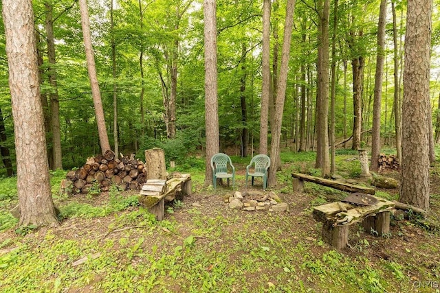 4581 Nelson Rd, Fenner, NY 13035 - view of yard