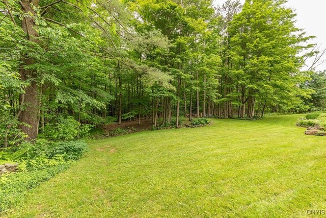 4581 Nelson Rd, Fenner, NY 13035 - view of green lawn with a forest view