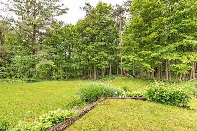 4581 Nelson Rd, Fenner, NY 13035 - view of grassy yard