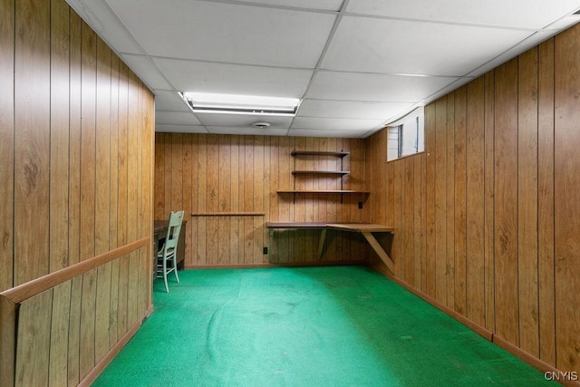 4581 Nelson Rd, Fenner, NY 13035 - basement with wooden walls, carpet, and a drop ceiling